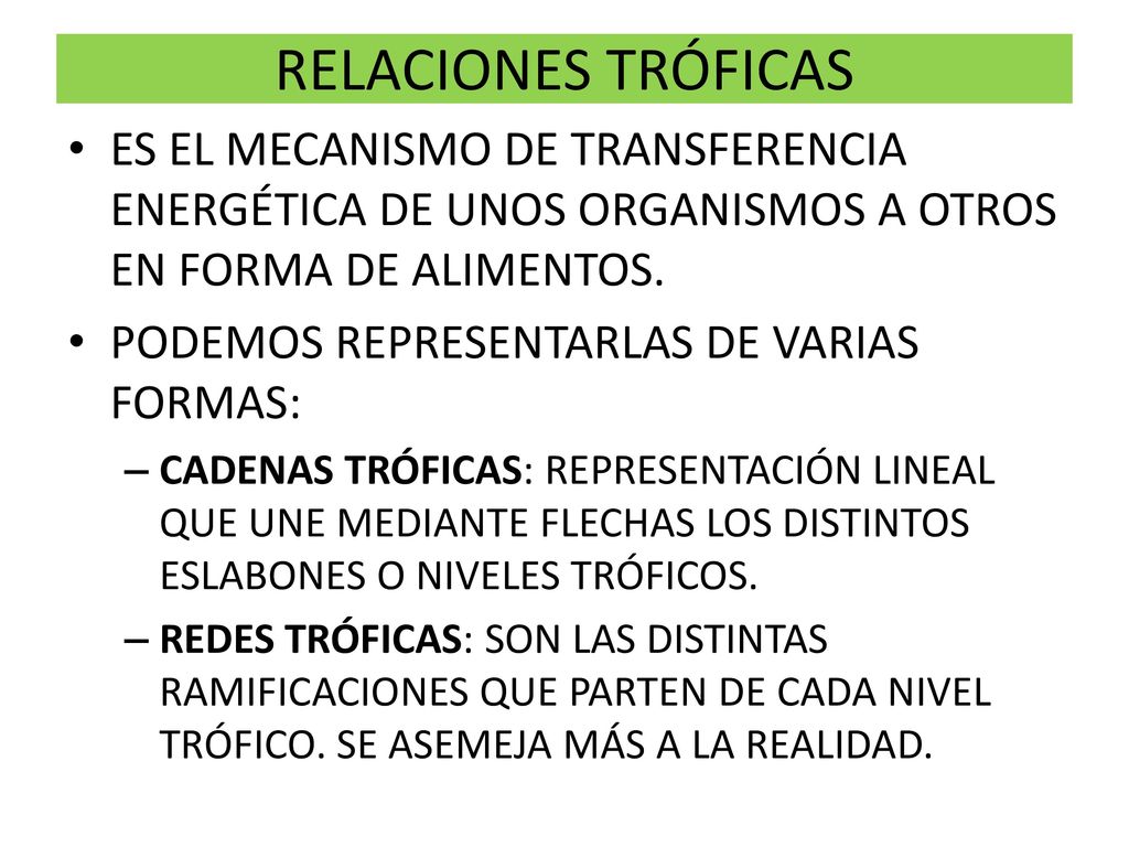 RELACIONES TRÓFICAS ES EL MECANISMO DE TRANSFERENCIA ENERGÉTICA DE UNOS ORGANISMOS A OTROS EN FORMA DE ALIMENTOS.