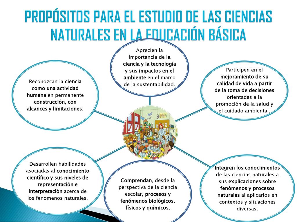 PROPÓSITOS PARA EL ESTUDIO DE LAS CIENCIAS NATURALES EN LA EDUCACIÓN BÁSICA