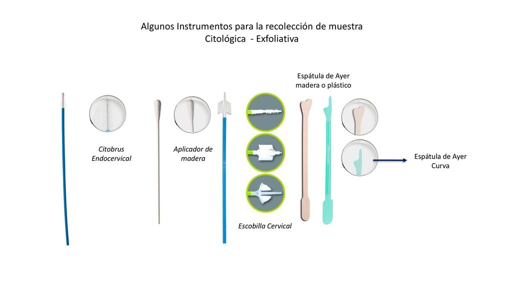 Algunos Instrumentos para la recolección de muestra Citológica - Exfoliativa