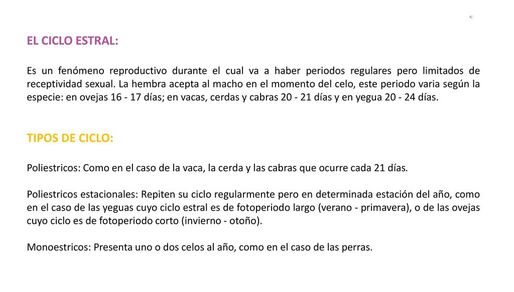 EL CICLO ESTRAL: TIPOS DE CICLO: