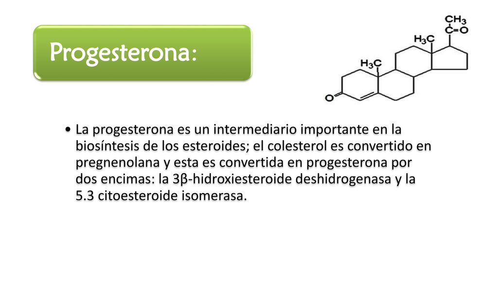 La progesterona es un intermediario importante en la biosíntesis de los esteroides; el colesterol es convertido en pregnenolana y esta es convertida en progesterona por dos encimas: la 3β-hidroxiesteroide deshidrogenasa y la 5.3 citoesteroide isomerasa.