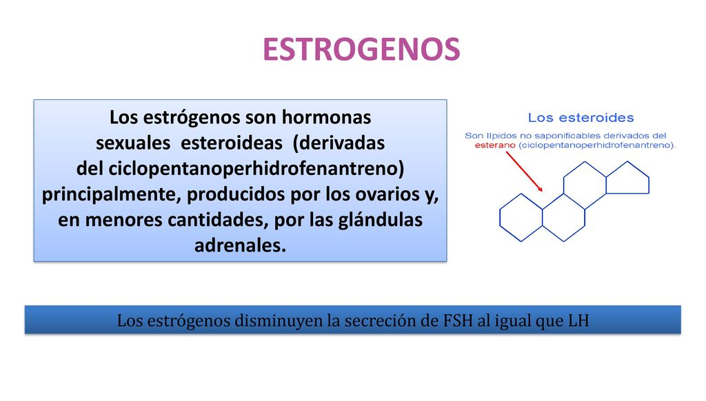Los estrógenos disminuyen la secreción de FSH al igual que LH