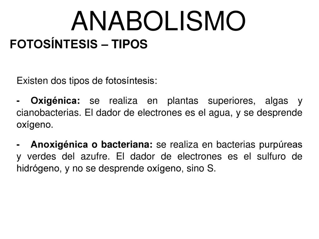 ANABOLISMO FOTOSÍNTESIS – TIPOS Existen dos tipos de fotosíntesis: