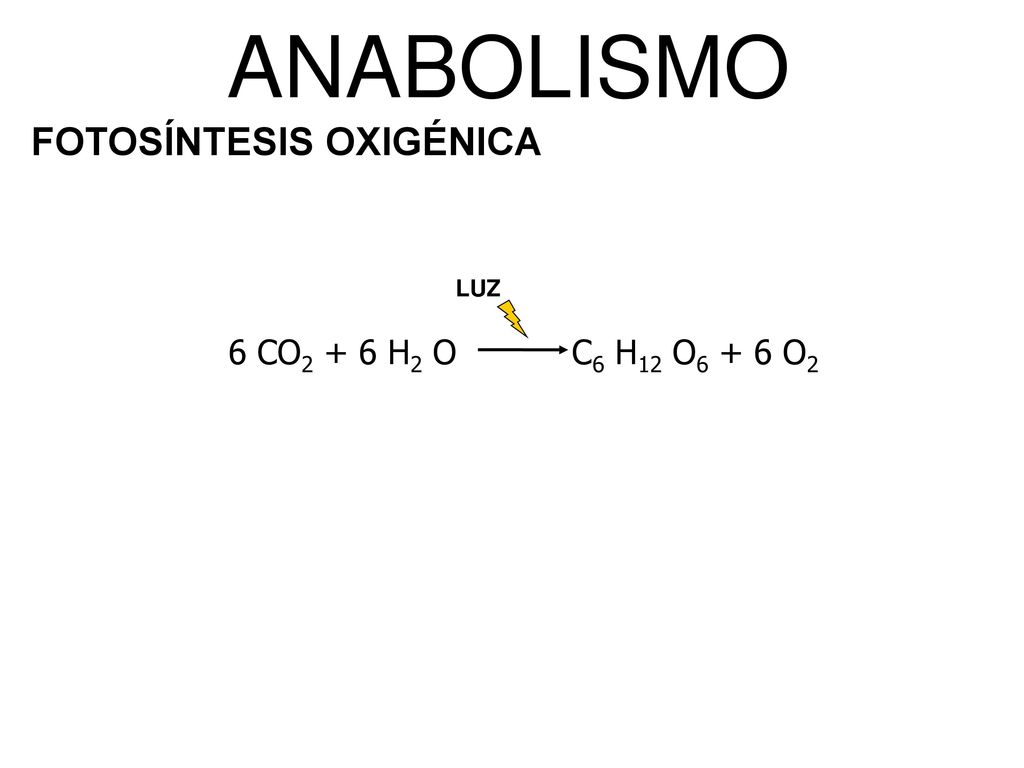 ANABOLISMO FOTOSÍNTESIS OXIGÉNICA LUZ 6 CO2 + 6 H2 O C6 H12 O6 + 6 O2