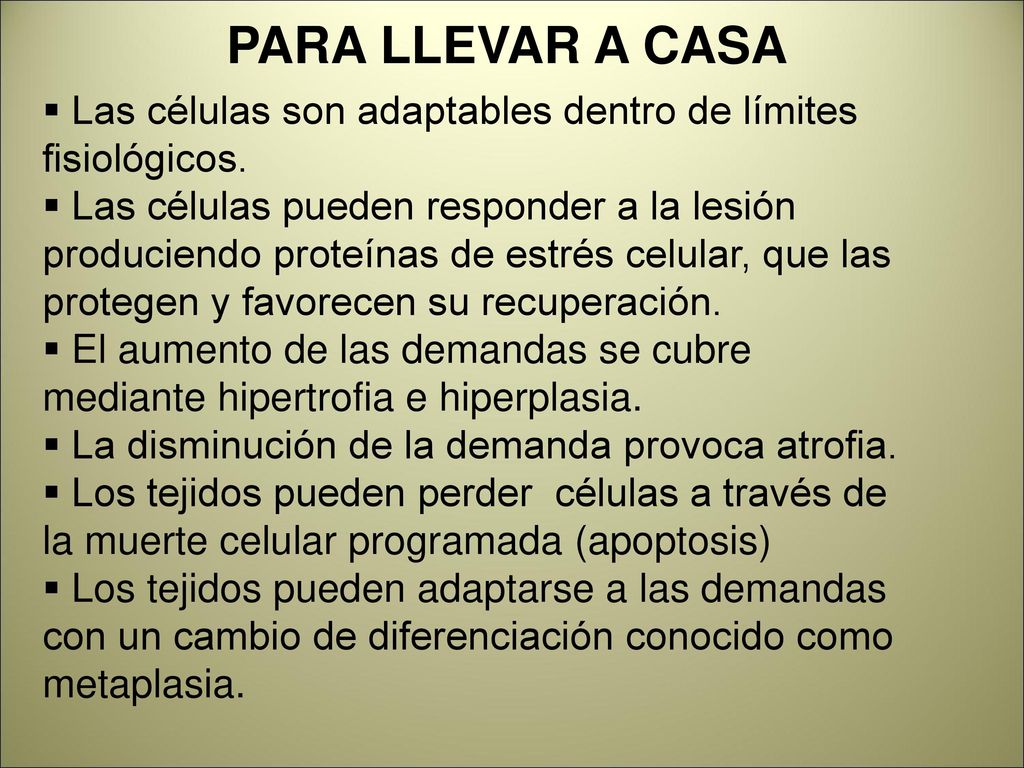 PARA LLEVAR A CASA Las células son adaptables dentro de límites fisiológicos.