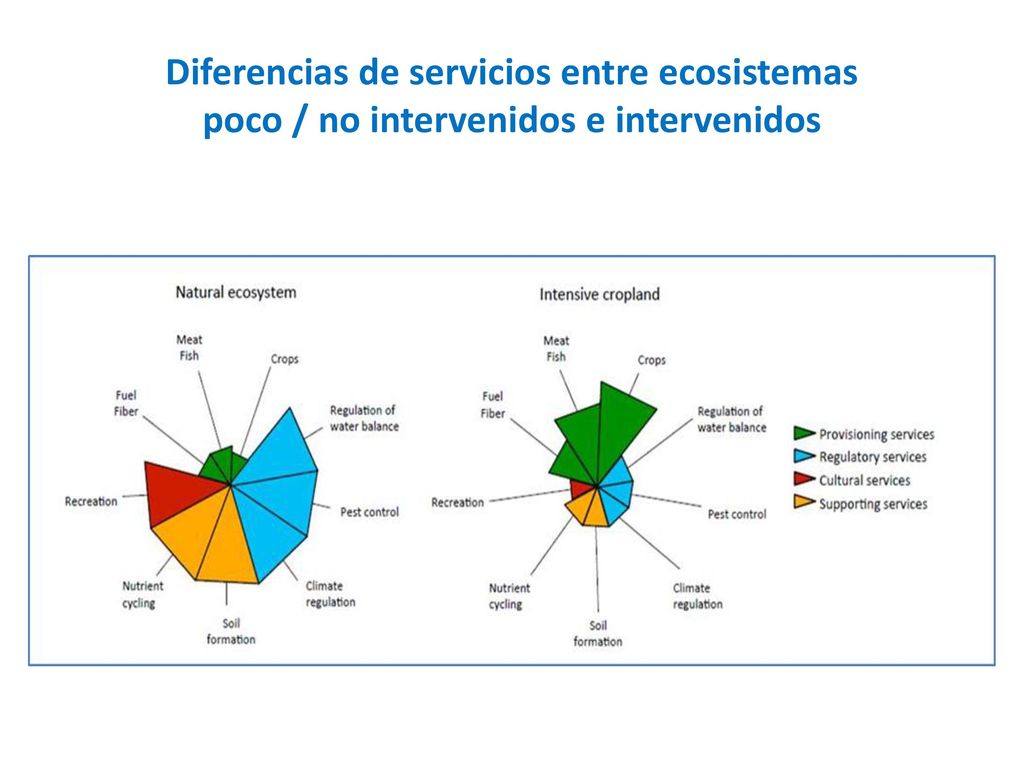 Diferencias de servicios entre ecosistemas poco / no intervenidos e intervenidos
