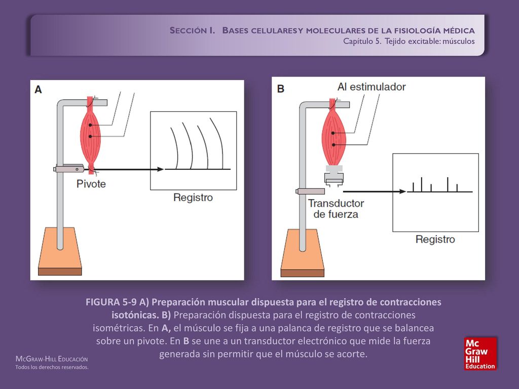 Sección I. Bases celulares y moleculares de la fisiología médica