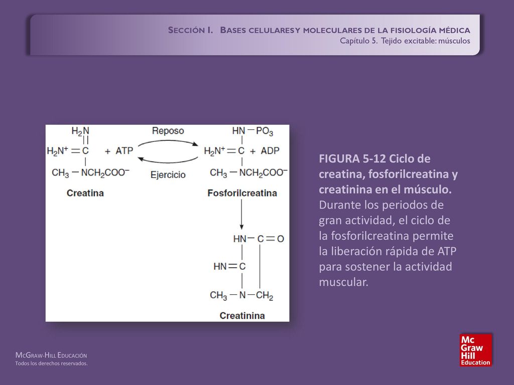 Sección I. Bases celulares y moleculares de la fisiología médica