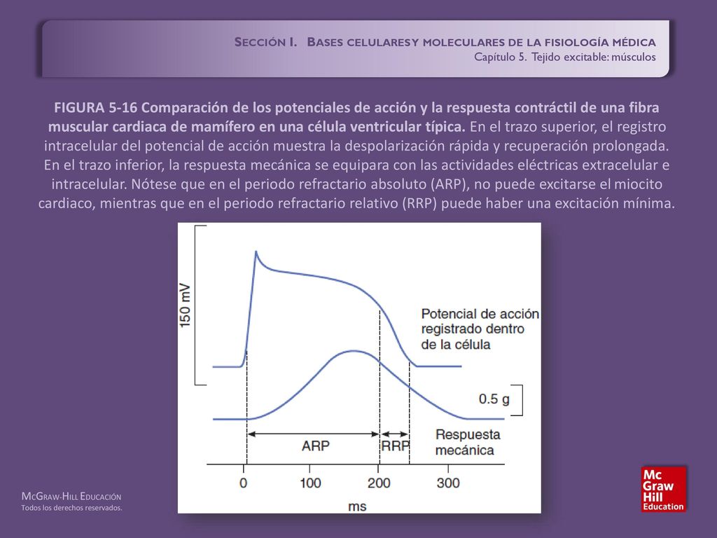 Sección I. Bases celulares y moleculares de la fisiología médica