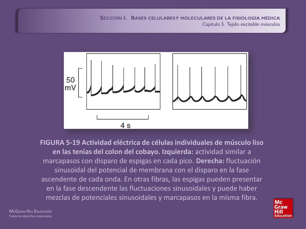 Sección I. Bases celulares y moleculares de la fisiología médica