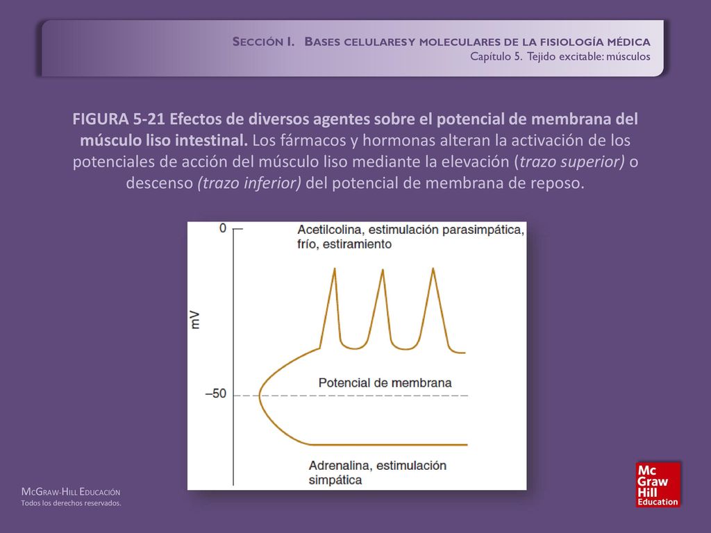 Sección I. Bases celulares y moleculares de la fisiología médica
