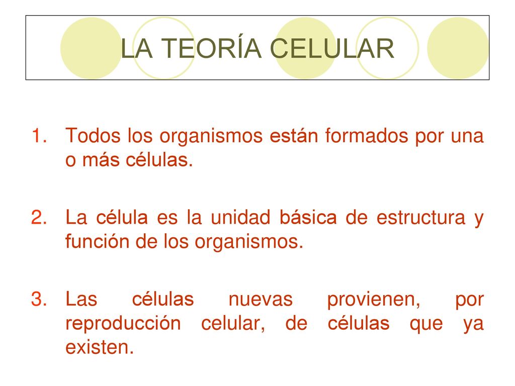 LA TEORÍA CELULAR Todos los organismos están formados por una o más células.