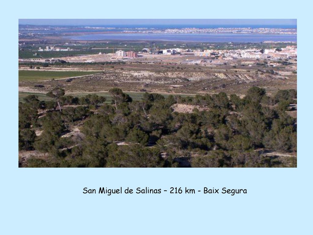 San Miguel de Salinas – 216 km - Baix Segura