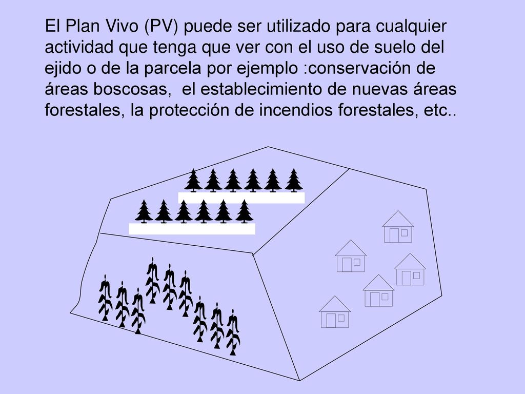 El Plan Vivo (PV) puede ser utilizado para cualquier actividad que tenga que ver con el uso de suelo del ejido o de la parcela por ejemplo :conservación de áreas boscosas, el establecimiento de nuevas áreas forestales, la protección de incendios forestales, etc..