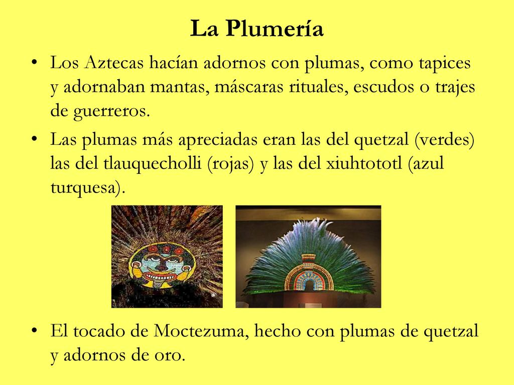La Plumería Los Aztecas hacían adornos con plumas, como tapices y adornaban mantas, máscaras rituales, escudos o trajes de guerreros.