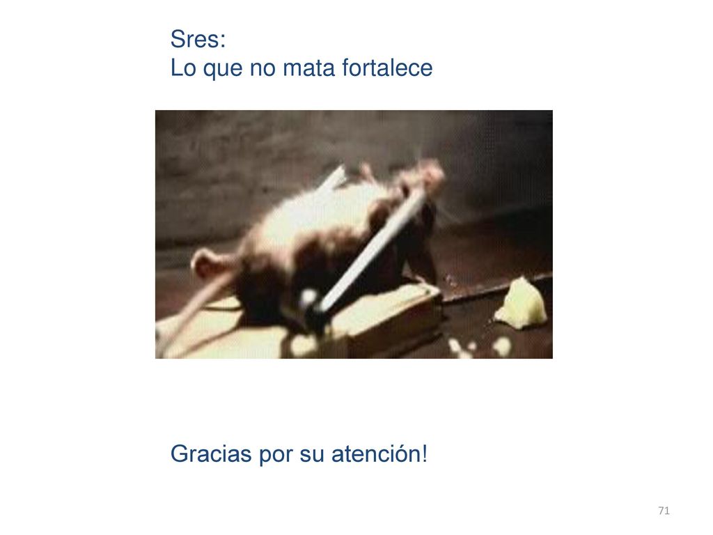 Sres: Lo que no mata fortalece Gracias por su atención!