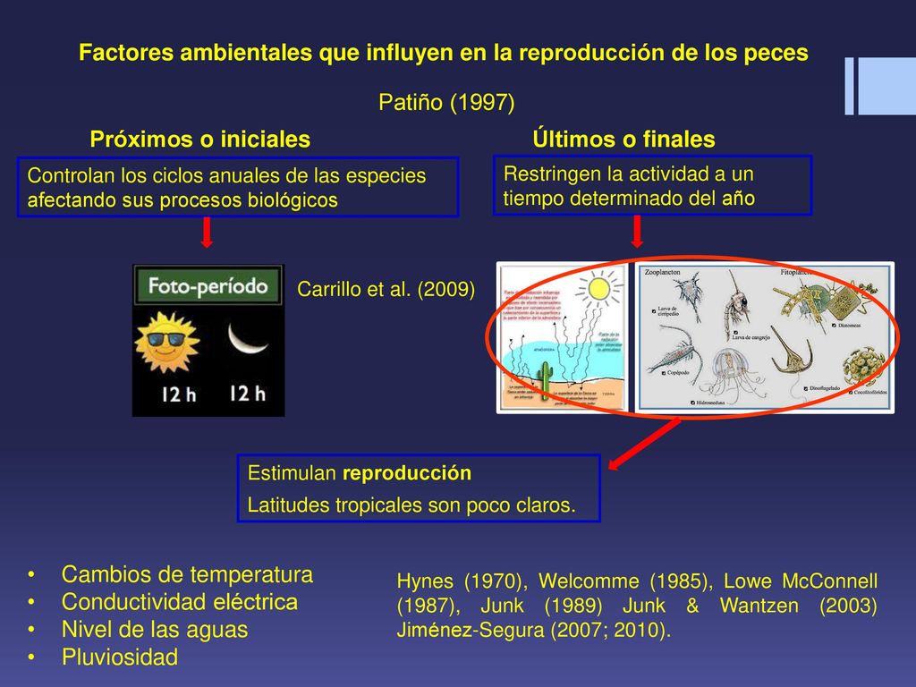 Factores ambientales que influyen en la reproducción de los peces