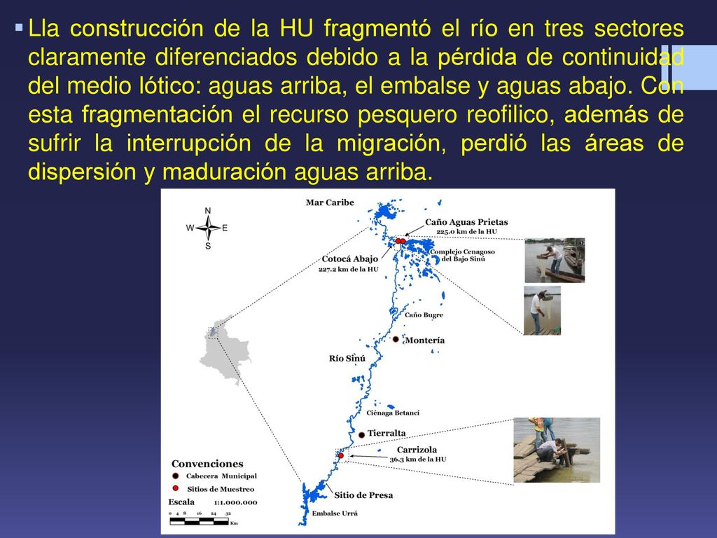 Lla construcción de la HU fragmentó el río en tres sectores claramente diferenciados debido a la pérdida de continuidad del medio lótico: aguas arriba, el embalse y aguas abajo.