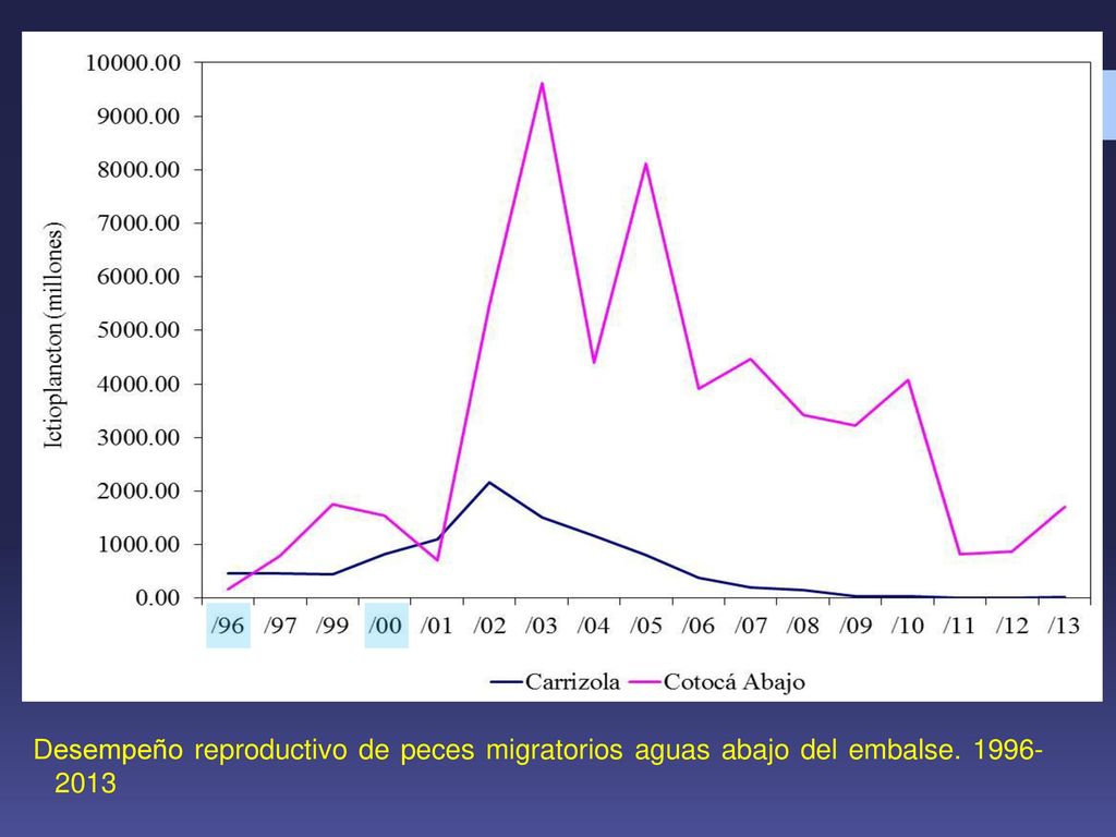 Desempeño reproductivo de peces migratorios aguas abajo del embalse