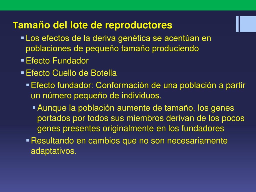 Tamaño del lote de reproductores