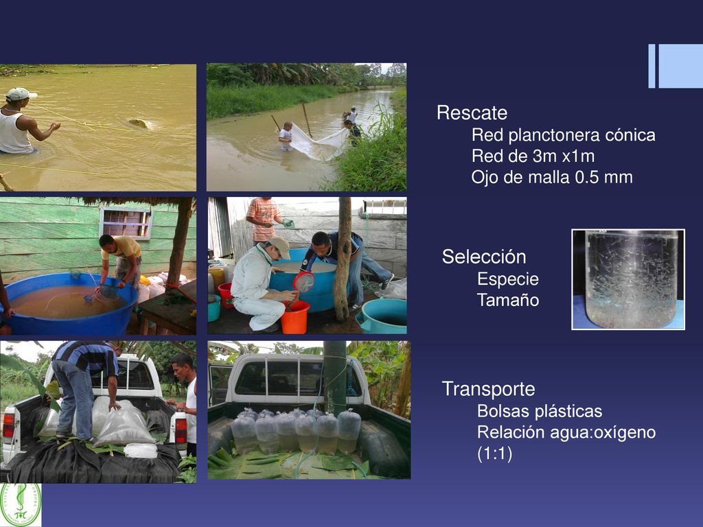Rescate Selección Transporte Red planctonera cónica Red de 3m x1m