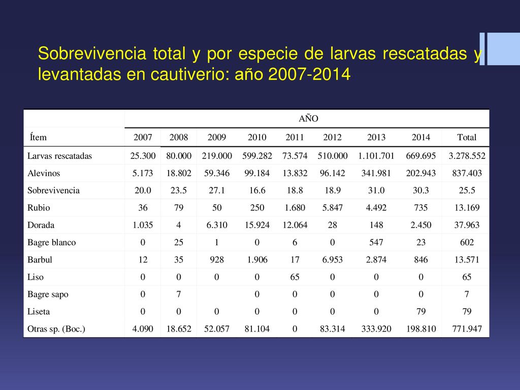 Sobrevivencia total y por especie de larvas rescatadas y levantadas en cautiverio: año