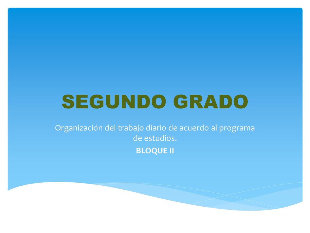 Organización del trabajo diario de acuerdo al programa de estudios.