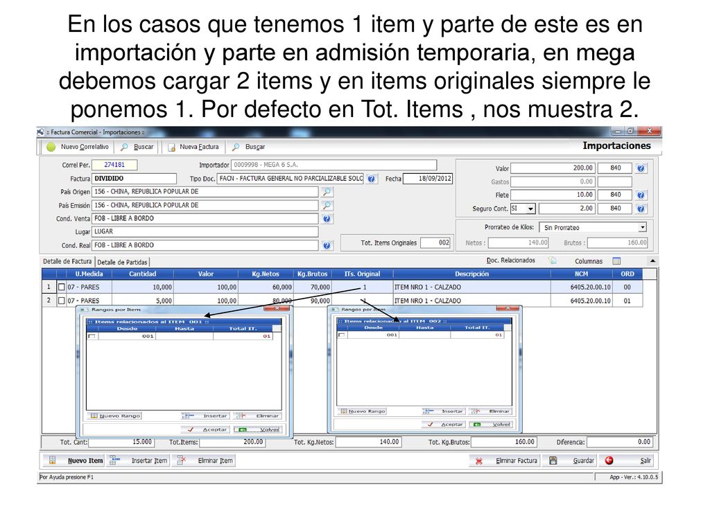 En los casos que tenemos 1 item y parte de este es en importación y parte en admisión temporaria, en mega debemos cargar 2 items y en items originales siempre le ponemos 1.