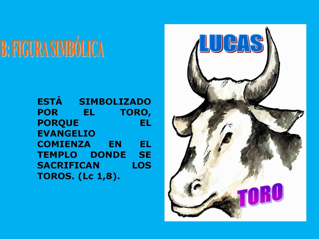 B: FIGURA SIMBÓLICA LUCAS. ESTÁ SIMBOLIZADO POR EL TORO, PORQUE EL EVANGELIO COMIENZA EN EL TEMPLO DONDE SE SACRIFICAN LOS TOROS. (Lc 1,8).