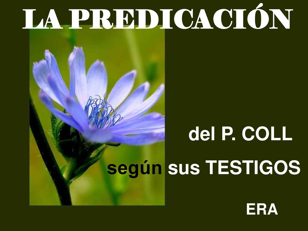 LA PREDICACIÓN LA del P. COLL según sus TESTIGOS ERA