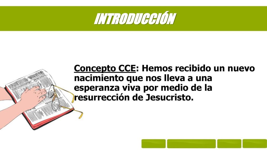 INTRODUCCIÓN Concepto CCE: Hemos recibido un nuevo nacimiento que nos lleva a una esperanza viva por medio de la resurrección de Jesucristo.
