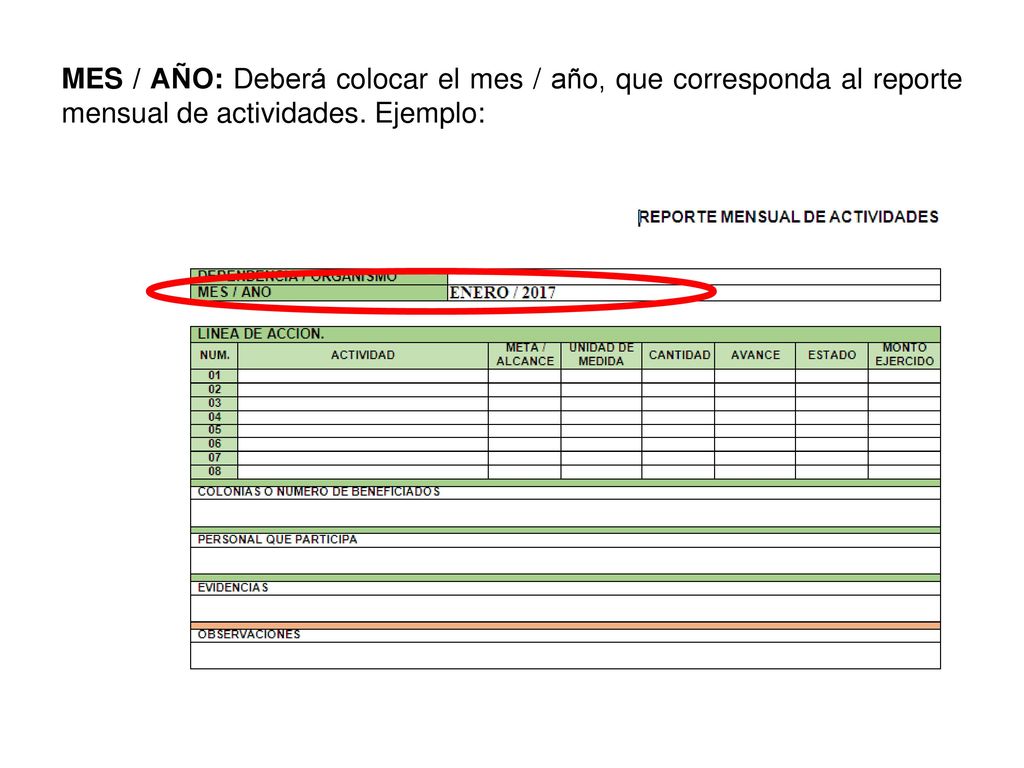 MES / AÑO: Deberá colocar el mes / año, que corresponda al reporte mensual de actividades. Ejemplo: