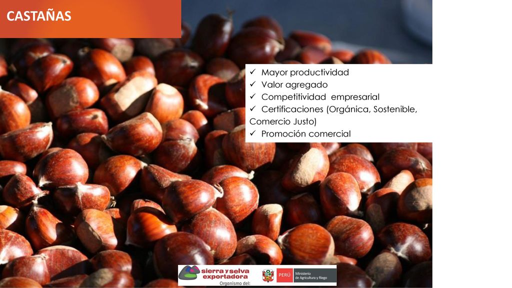 CASTAÑAS Mayor productividad Valor agregado Competitividad empresarial