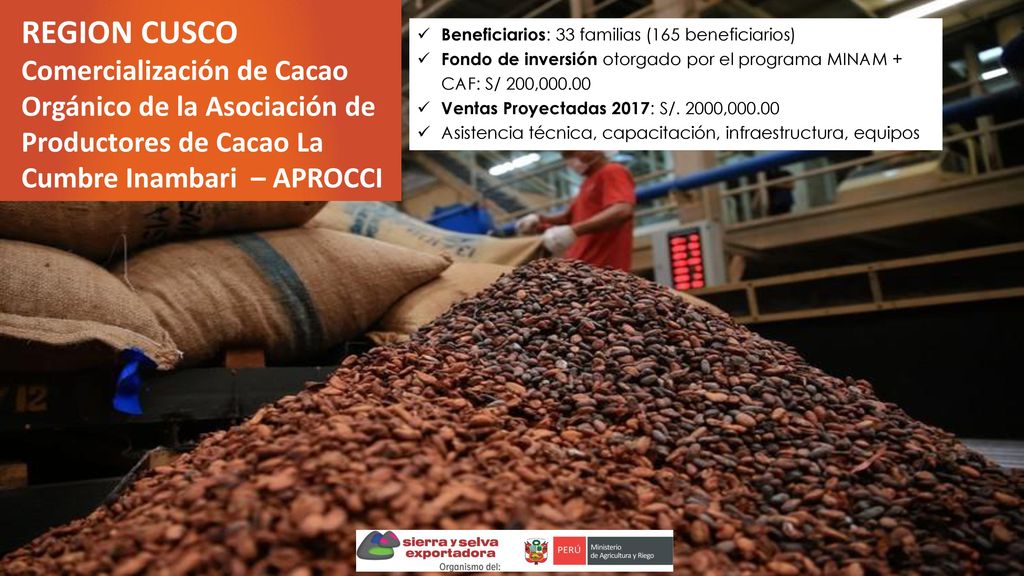REGION CUSCO Comercialización de Cacao Orgánico de la Asociación de
