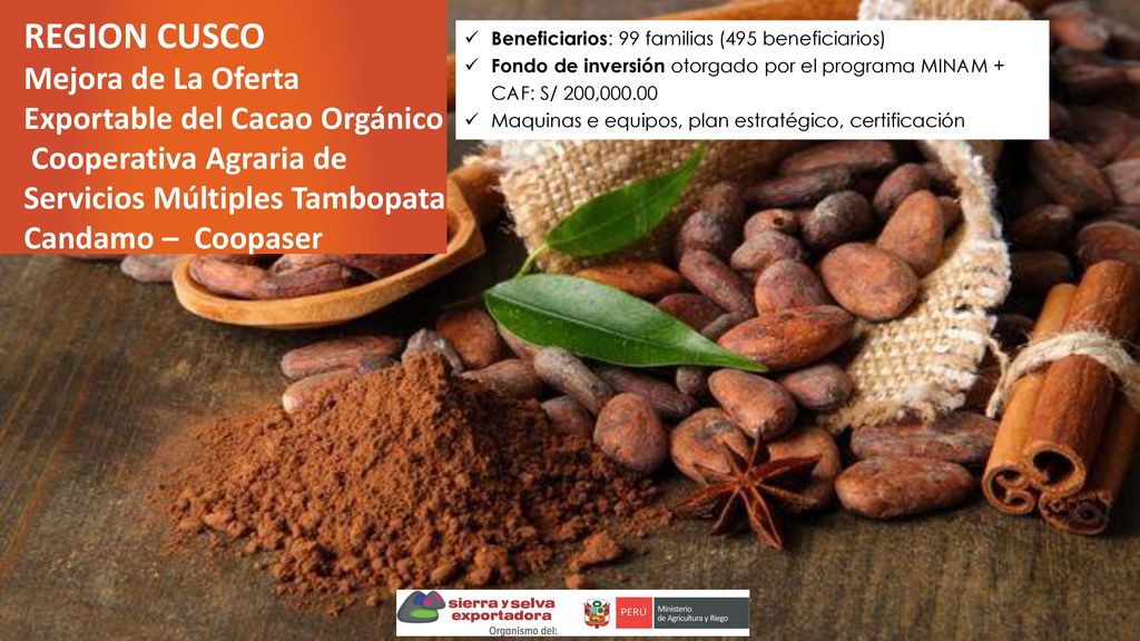 REGION CUSCO Mejora de La Oferta Exportable del Cacao Orgánico