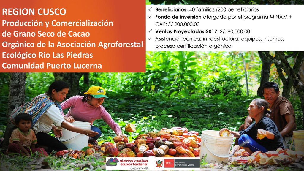 REGION CUSCO Producción y Comercialización de Grano Seco de Cacao