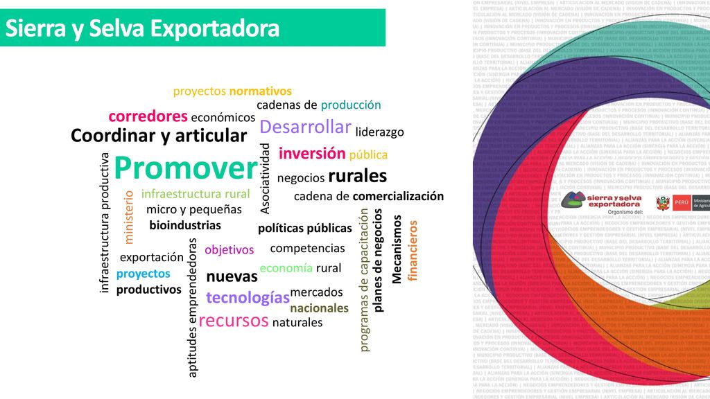 Promover Sierra y Selva Exportadora Desarrollar Coordinar y articular