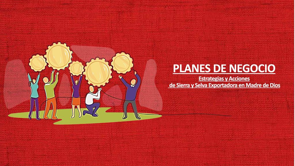 Estrategias y Acciones de Sierra y Selva Exportadora en Madre de Dios