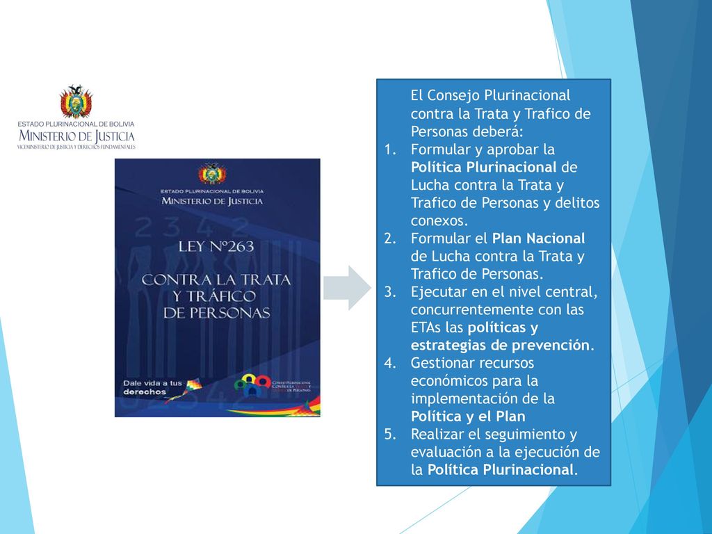 El Consejo Plurinacional contra la Trata y Trafico de Personas deberá: