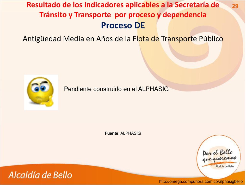 Antigüedad Media en Años de la Flota de Transporte Público