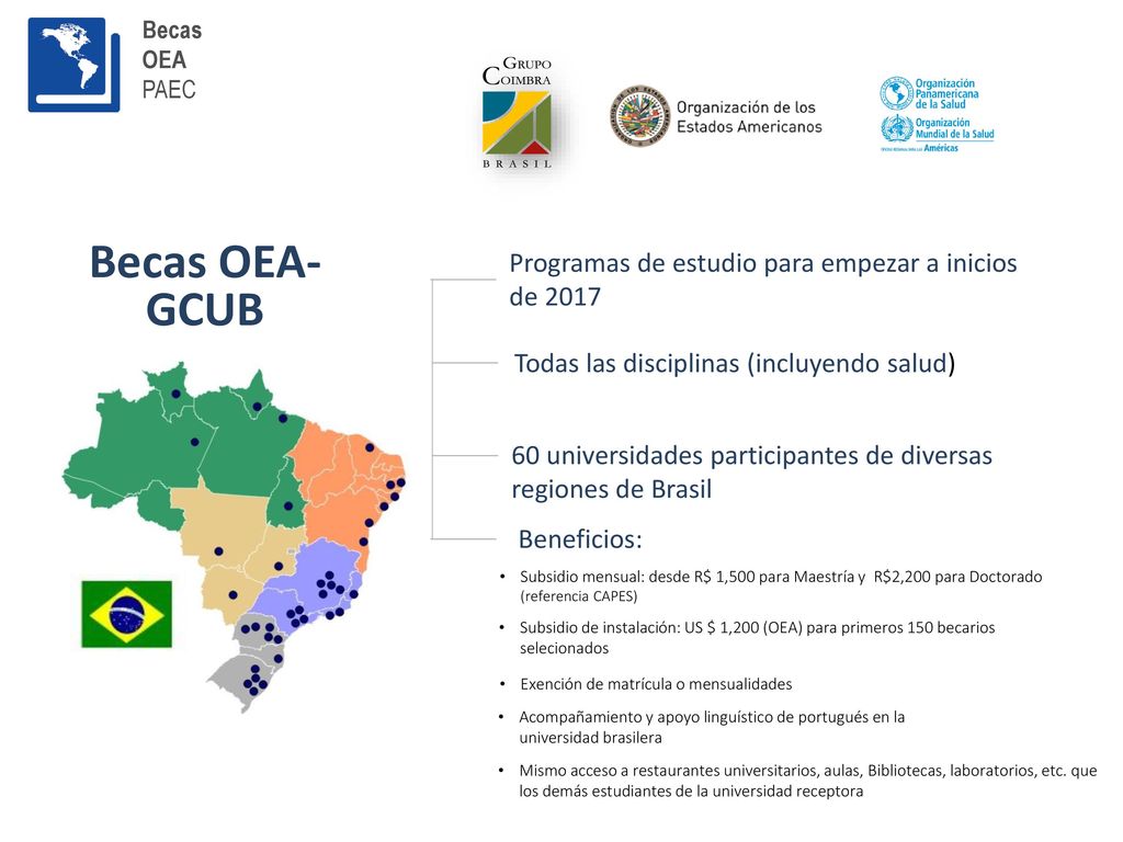Becas OEA-GCUB Programas de estudio para empezar a inicios de 2017