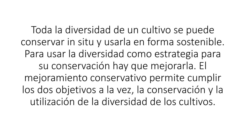 Toda la diversidad de un cultivo se puede conservar in situ y usarla en forma sostenible.