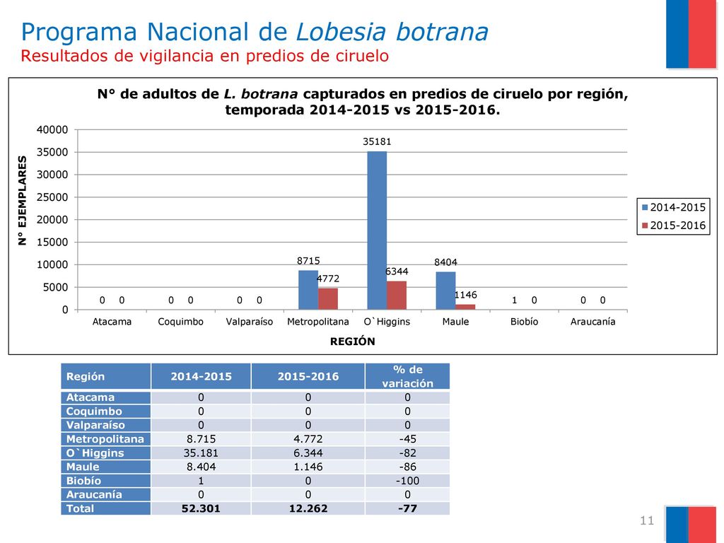 Programa Nacional de Lobesia botrana Resultados de vigilancia en predios de ciruelo