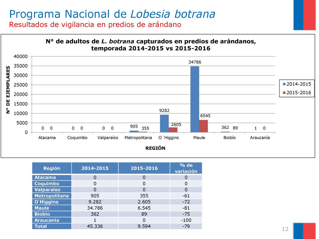 Programa Nacional de Lobesia botrana Resultados de vigilancia en predios de arándano