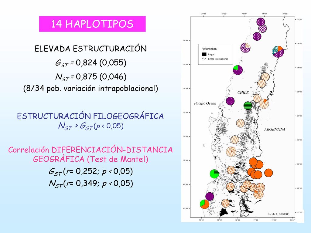 14 HAPLOTIPOS ELEVADA ESTRUCTURACIÓN GST = 0,824 (0,055)