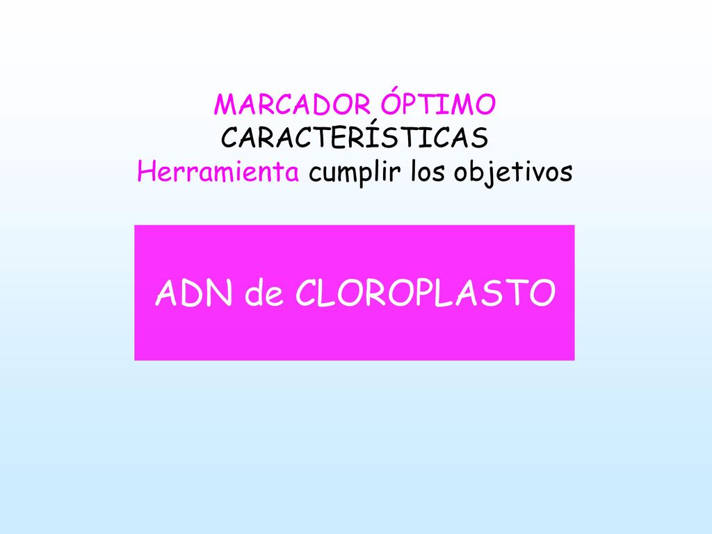 MARCADOR ÓPTIMO CARACTERÍSTICAS Herramienta cumplir los objetivos