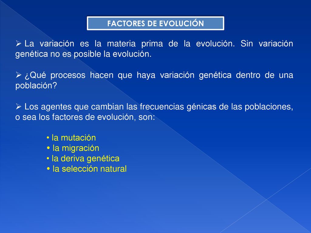 FACTORES DE EVOLUCIÓN La variación es la materia prima de la evolución. Sin variación genética no es posible la evolución.