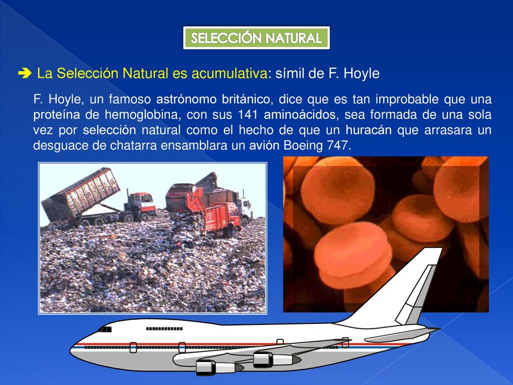  La Selección Natural es acumulativa: símil de F. Hoyle
