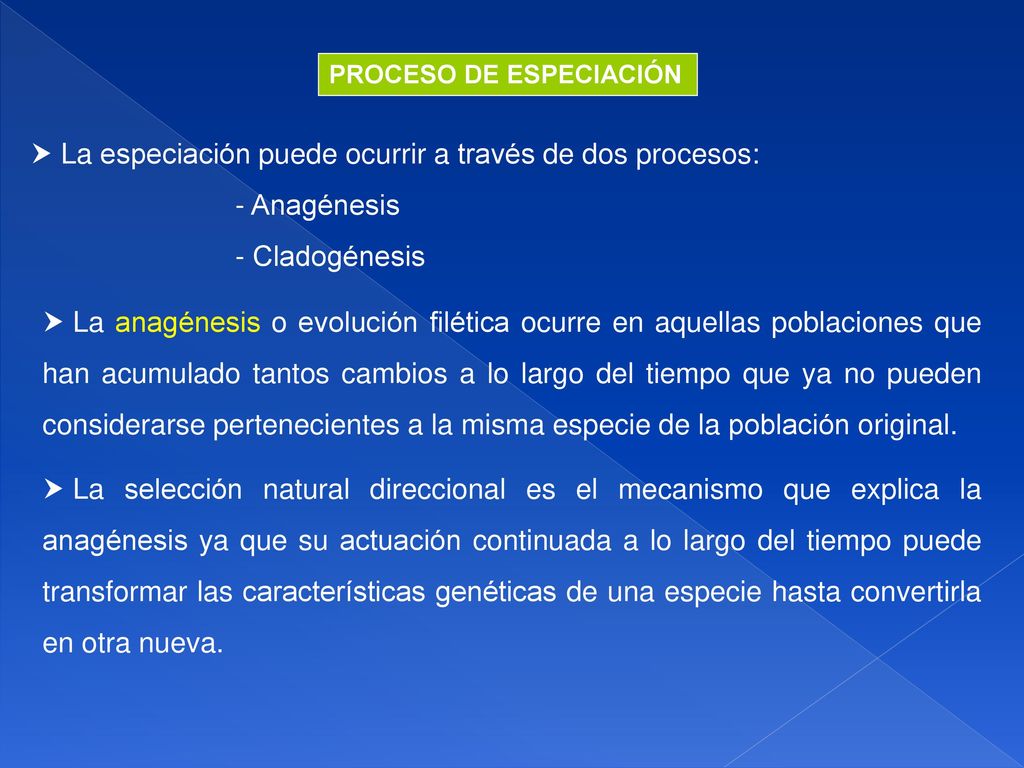 La especiación puede ocurrir a través de dos procesos: - Anagénesis