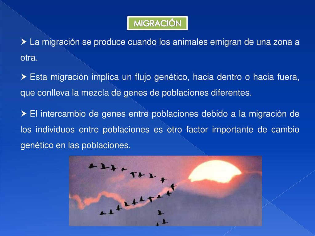 MIGRACIÓN La migración se produce cuando los animales emigran de una zona a otra.